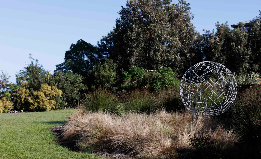 The Grace of Grasses - Native and Hardy