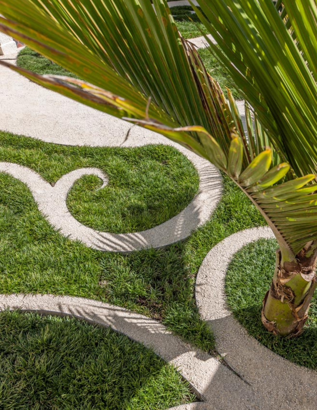 Palm Grove