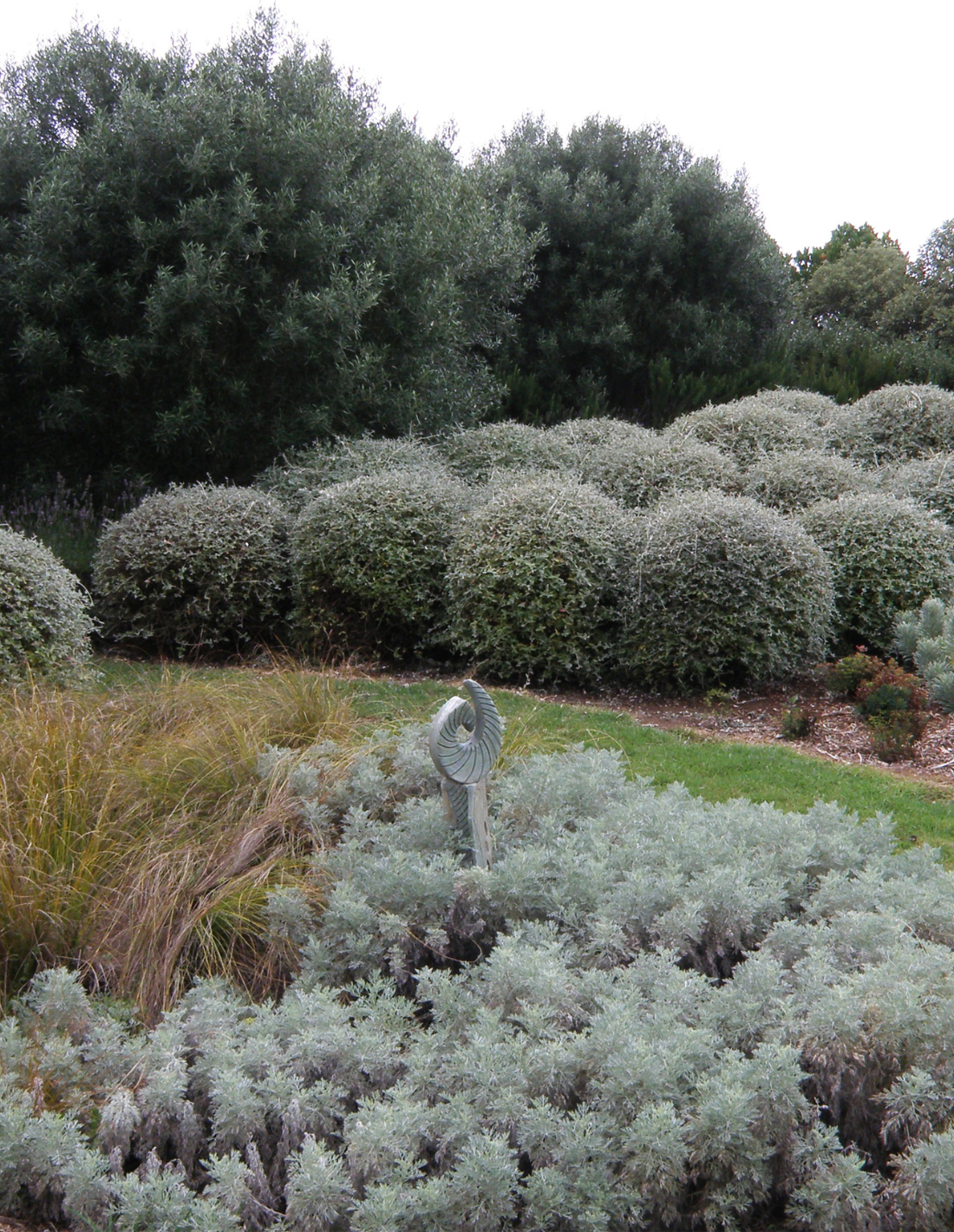 Silver Dunes
